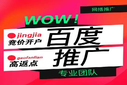 竞价开户优势解析：成功案例对比